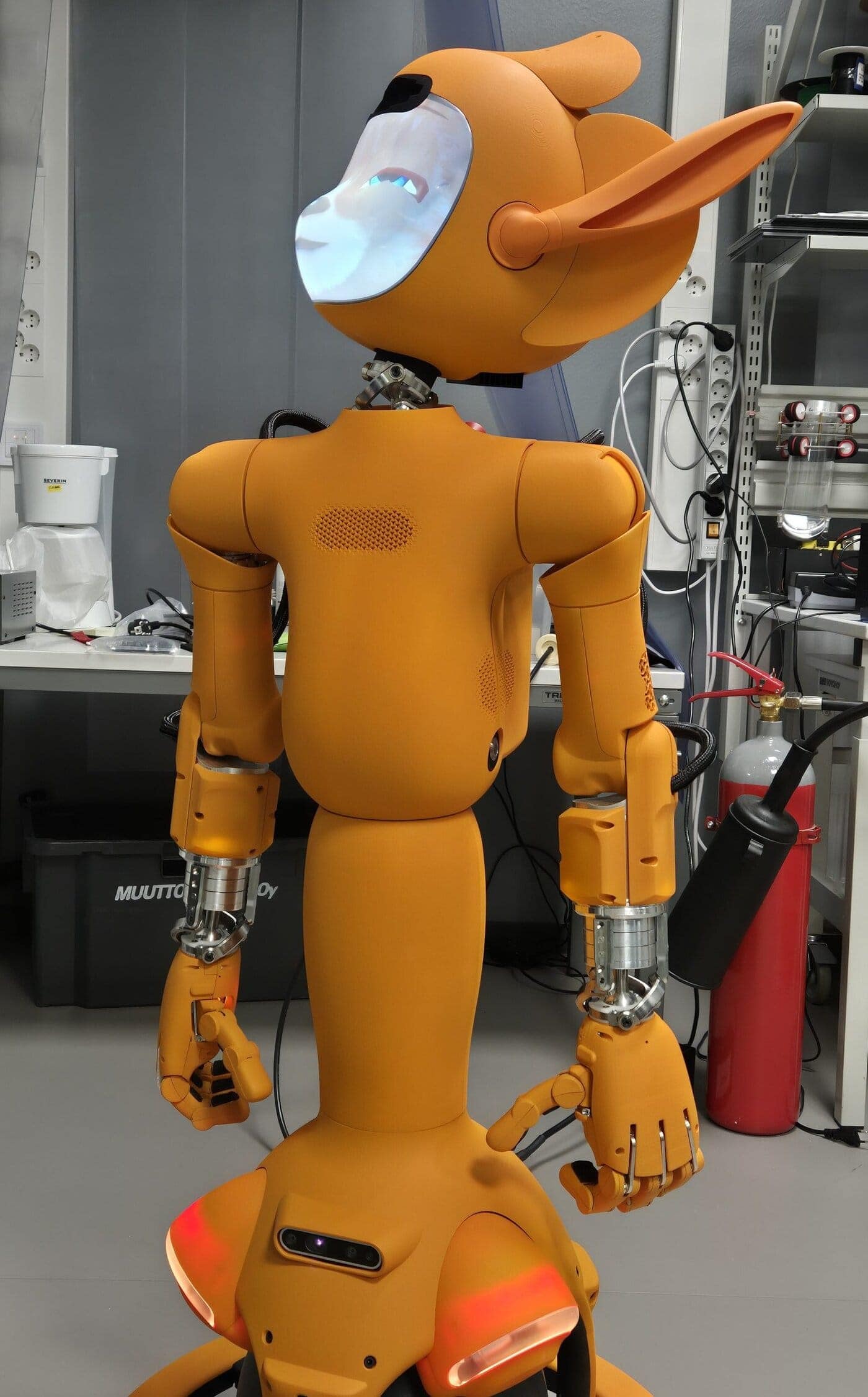 Mirokai™, Enchanted Tools (kuva Terhi Holappa)