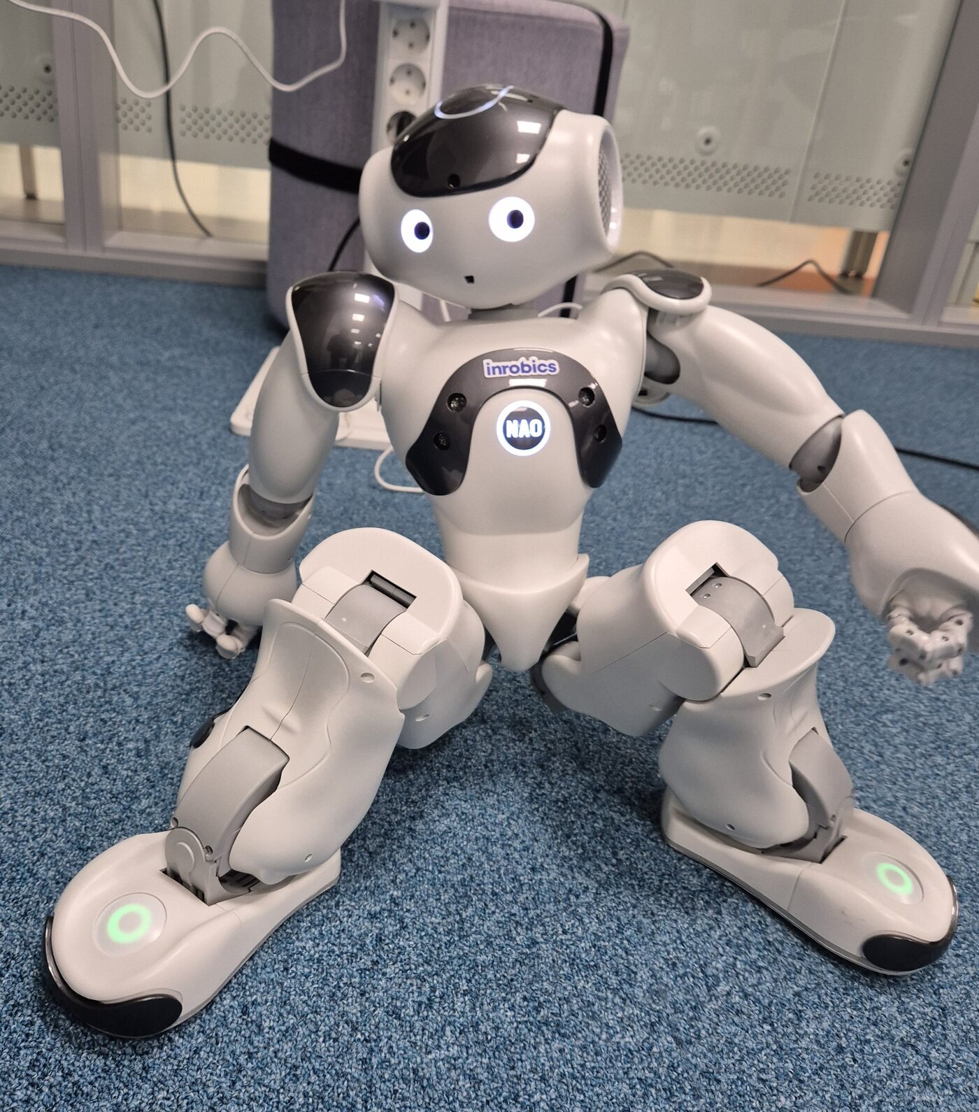 Robic™ (NAO) (kuva Terhi Holappa)